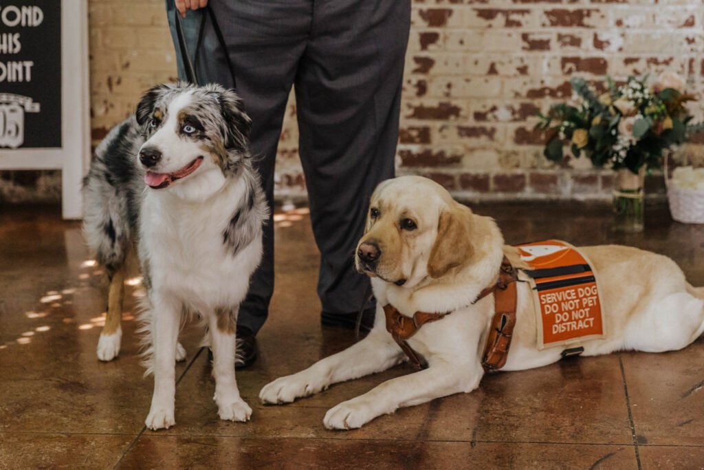 Candid photo of Wilmington NC bride and groom with their fun-loving wedding party