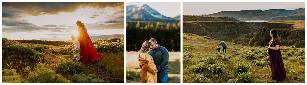 Diverse photography locations showcasing parks, beaches, and gardens - examples of versatile locations.