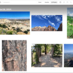 Photos app library view on macOS Sequoia