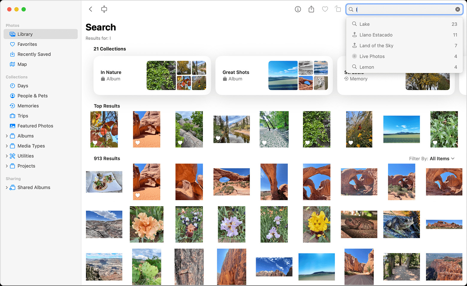 Search bar in Mac Photos for finding specific photos