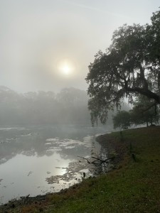 Mist and Fog Reference Photo