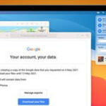 Google Photos download all