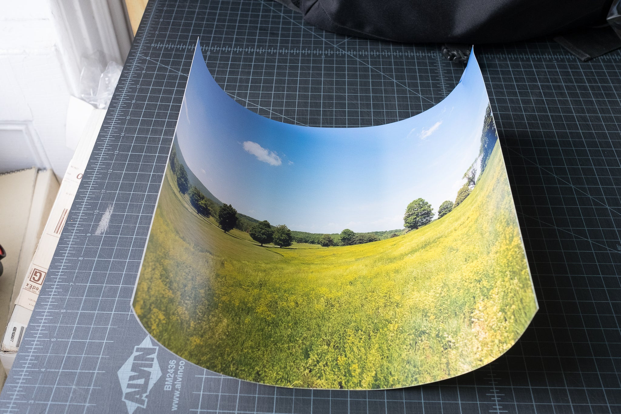 A curled photo print from Shutterfly, a common result of shipping prints in tubes.