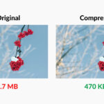 Original and Compressed Image Comparison Mac