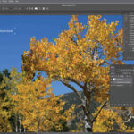 Adobe Photoshop Interface