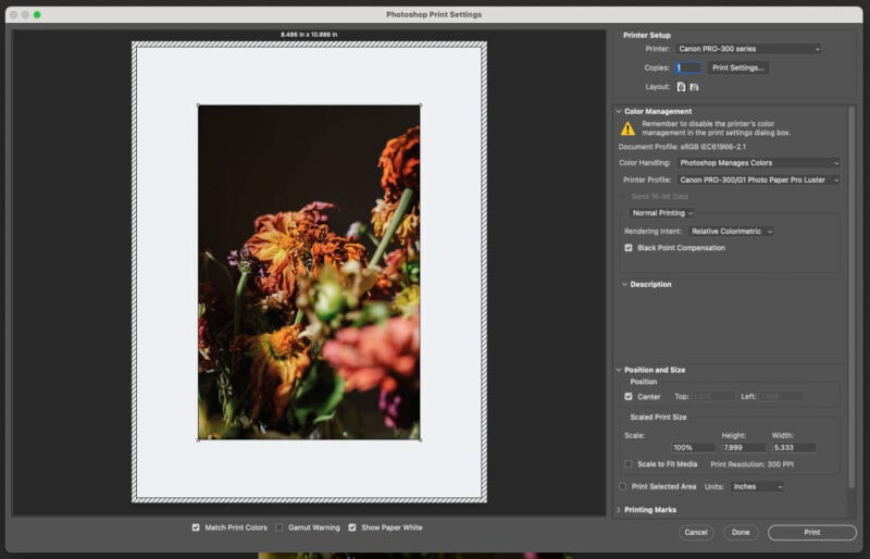 A screenshot of the Photoshop print settings menu. 