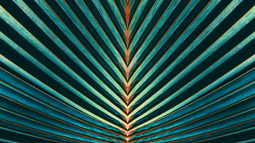 Macro shot of a leaf texture, highlighting detail in macro stock photography