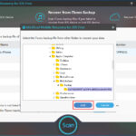 Select iTunes Backup