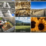 alt text: Screenshot of iPhone's Recently Deleted folder