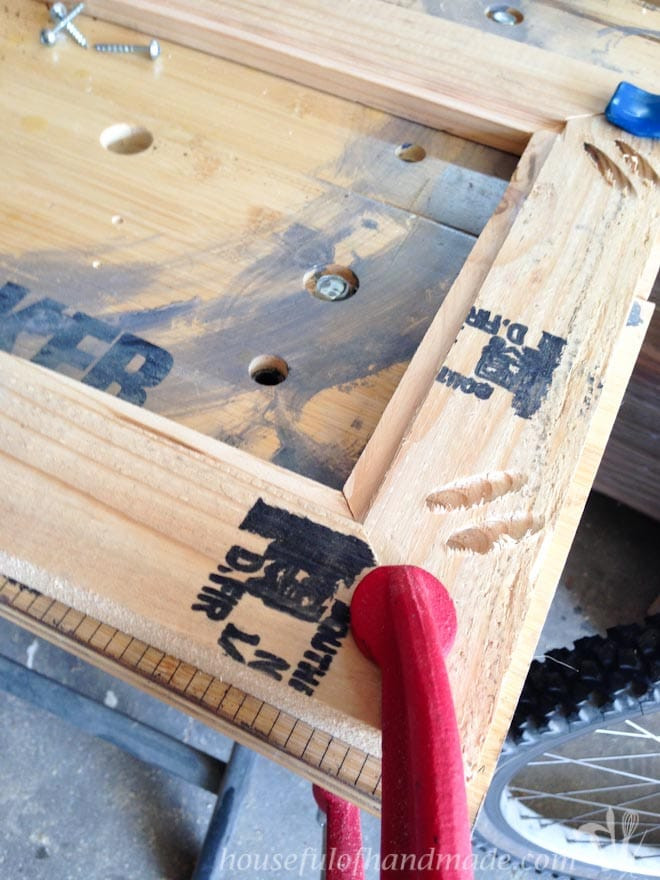 Natural wood being clamped together, showcasing the assembly stage of making a wooden picture frame.