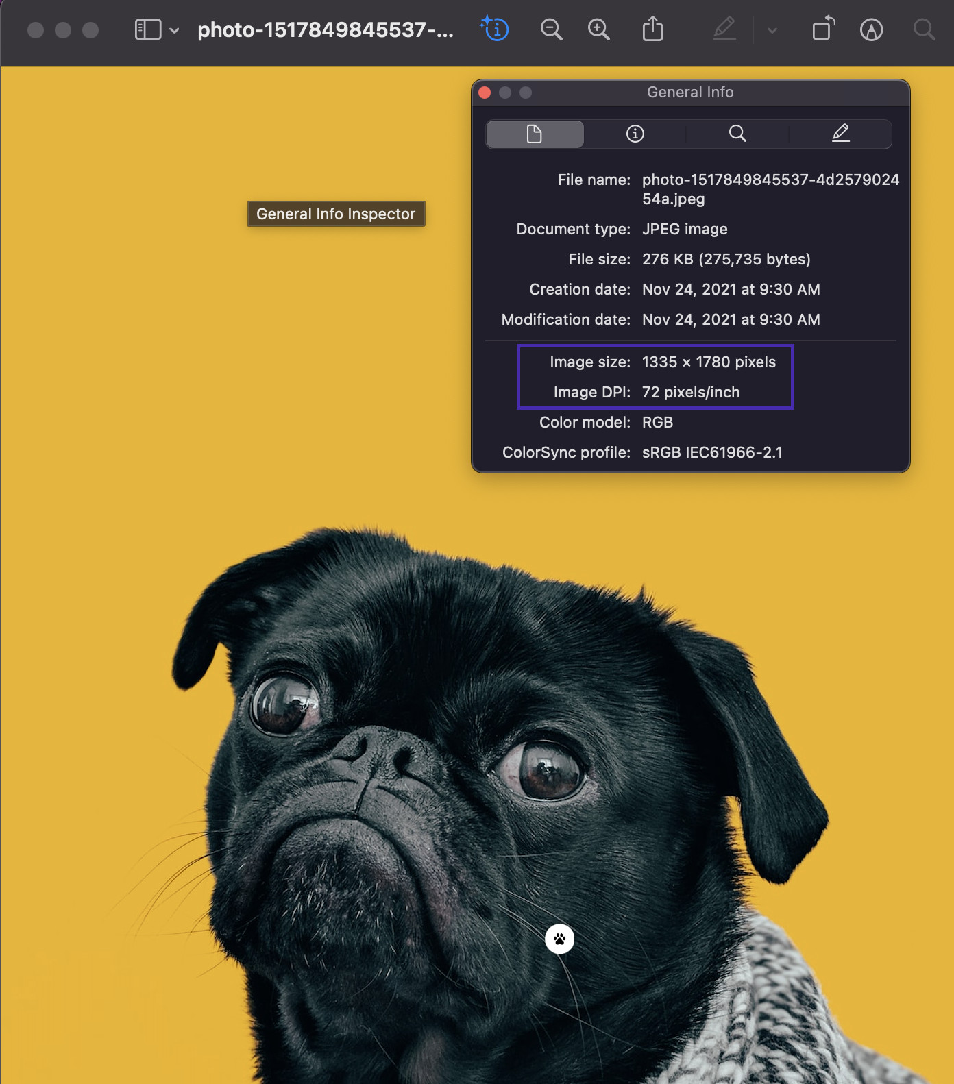 alt text: checking resolution of an image on a windows computer by right clicking and selecting properties