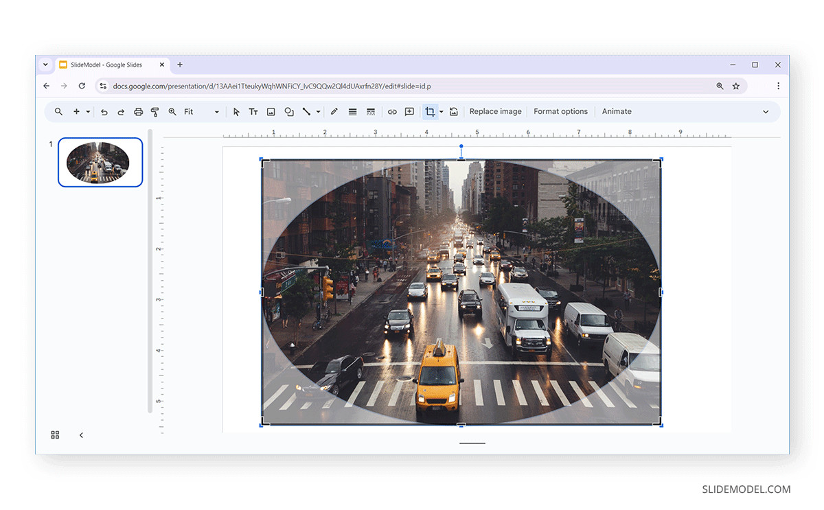 Oval-shaped crop in Google Slides