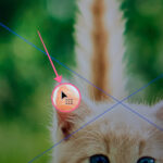 Selection Tool selected in Adobe Illustrator, ready to crop an image