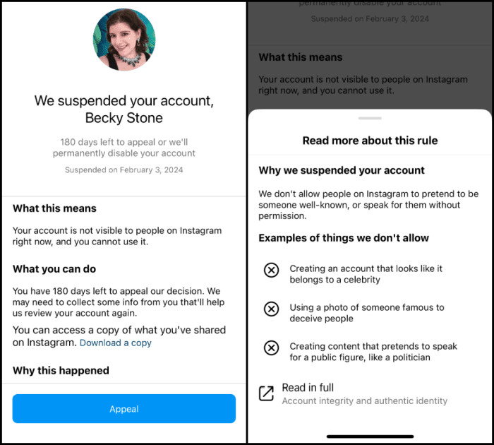 The reason that Instagram gave for suspending my account was violation of the community guideline against impersonating a public figure.