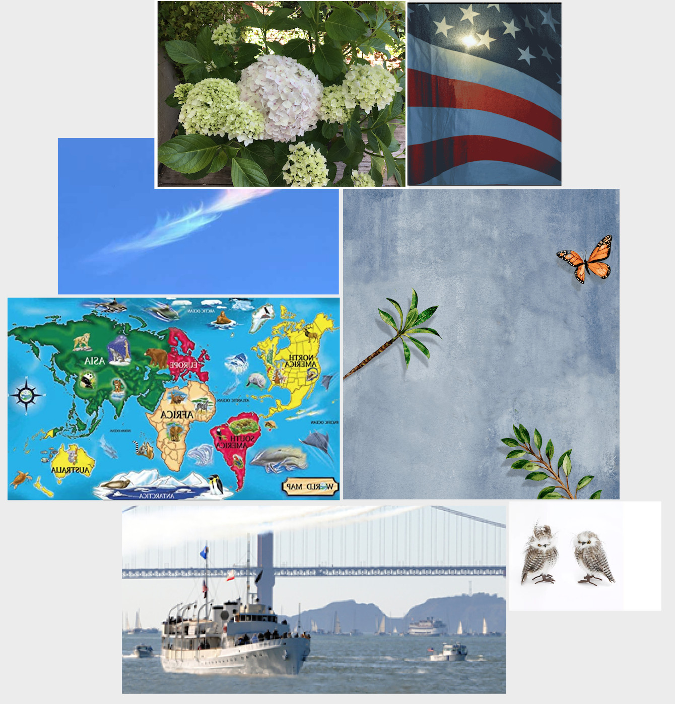 Preview app used to create a collage with transparency screen