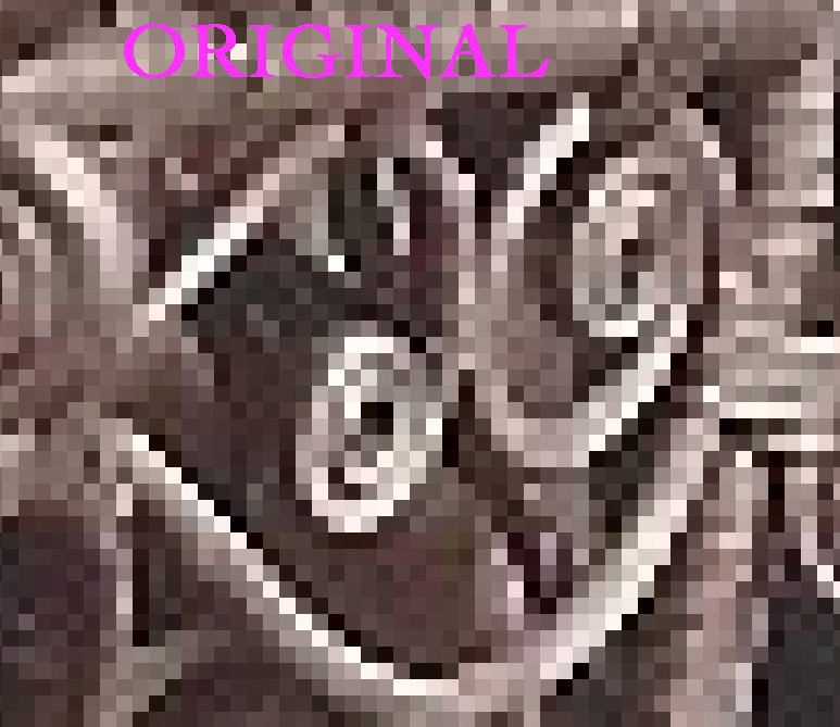 Detail of the original genealogy photo before upsampling