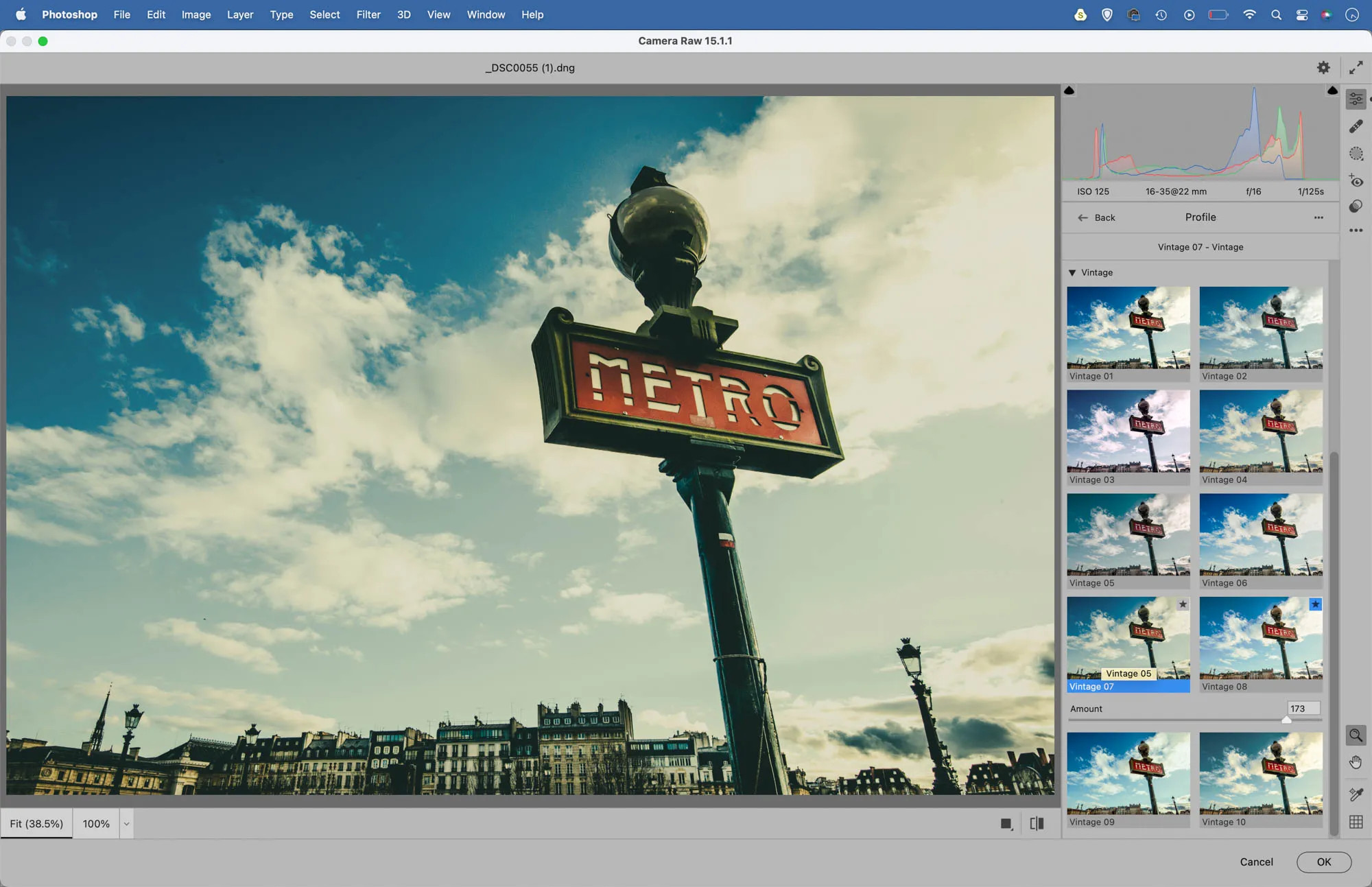 Adobe Lightroom interface showing Vintage Profiles, offering one-click retro toning.