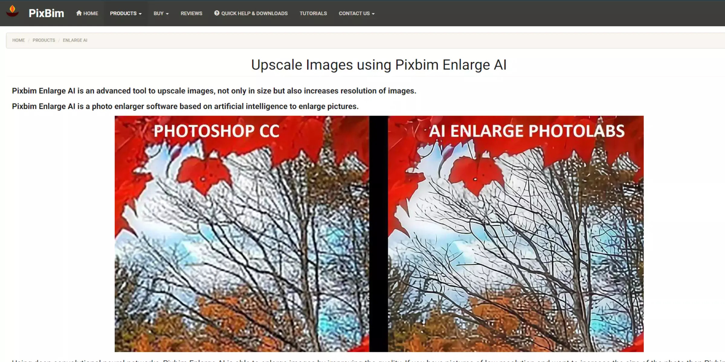 PixBim Enlarge AI interface