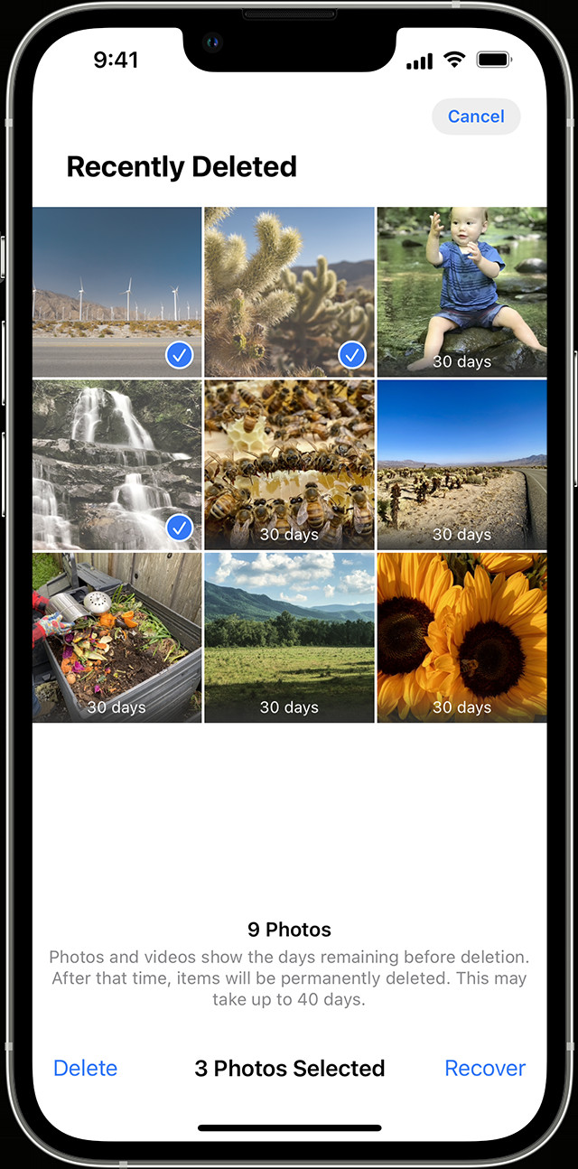 Recover Photos from Recently Deleted