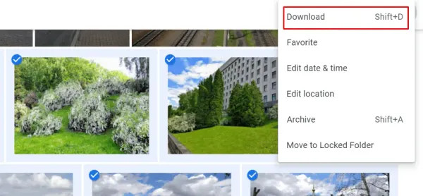 Download options in Google Photos