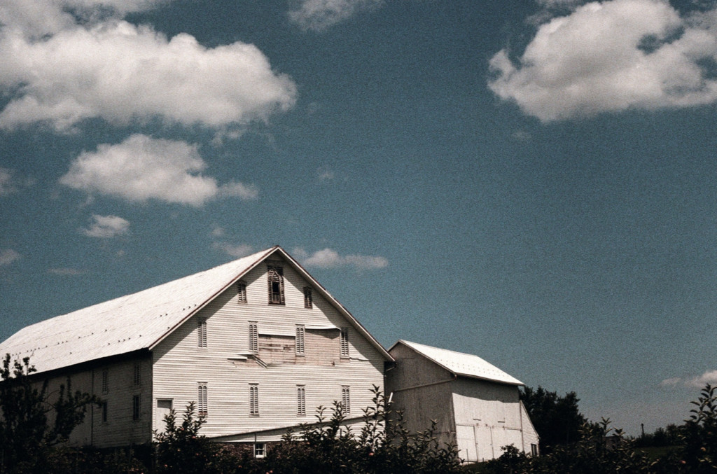 Kodak Portra 400 film example