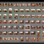 Culling, flagging, rating, renaming & editing in Adobe Lightroom