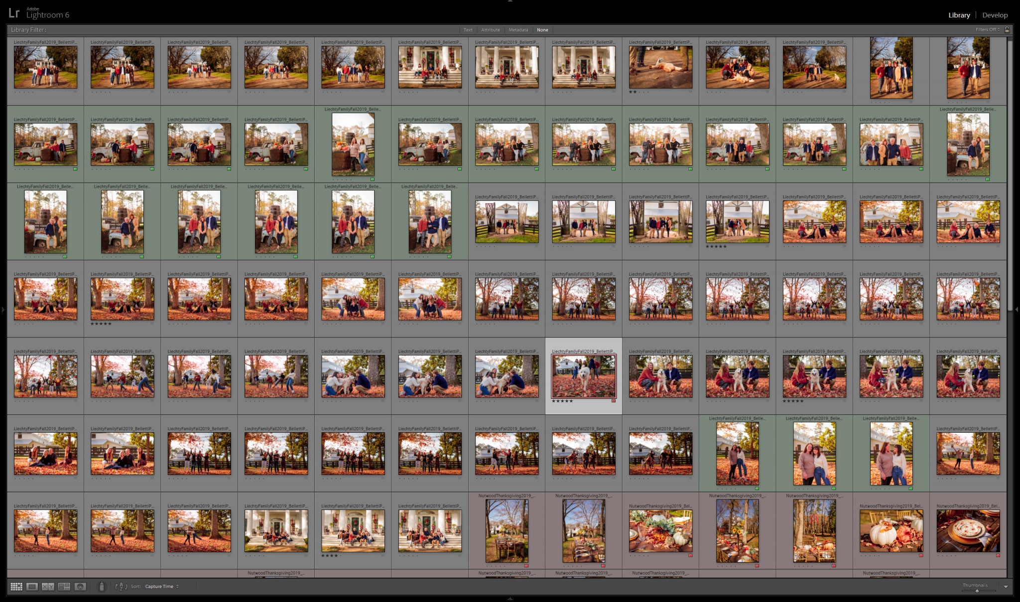 Culling, flagging, rating, renaming & editing in Adobe Lightroom