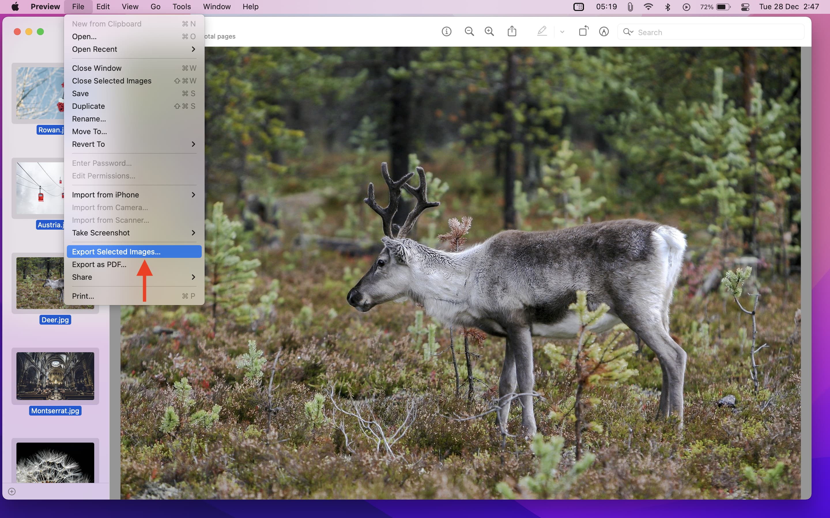 Export Selected Images Using Preview on Mac