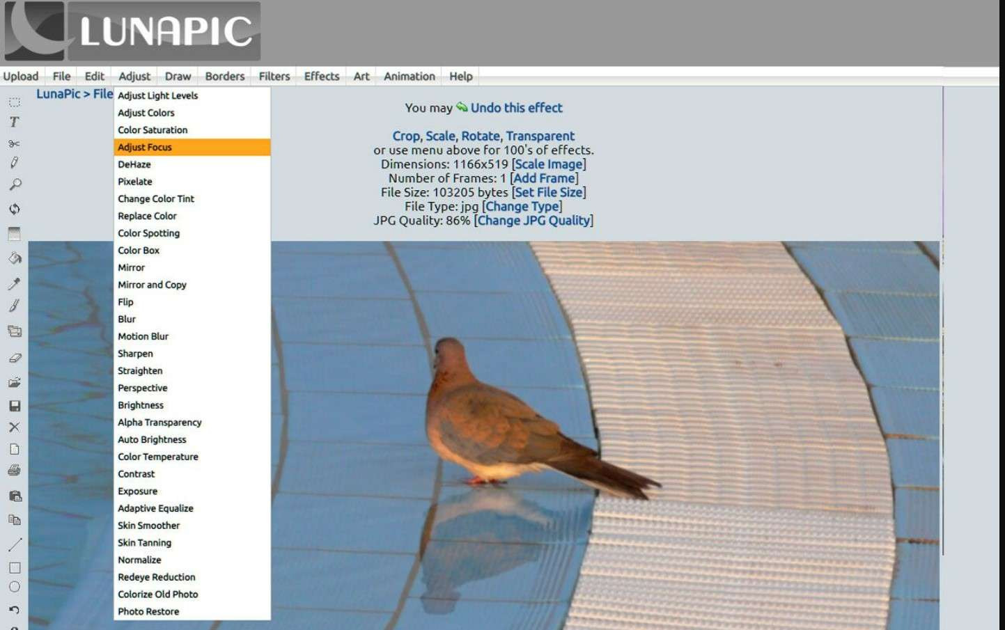 LunaPic website showing the Adjust Focus option in the Adjust menu