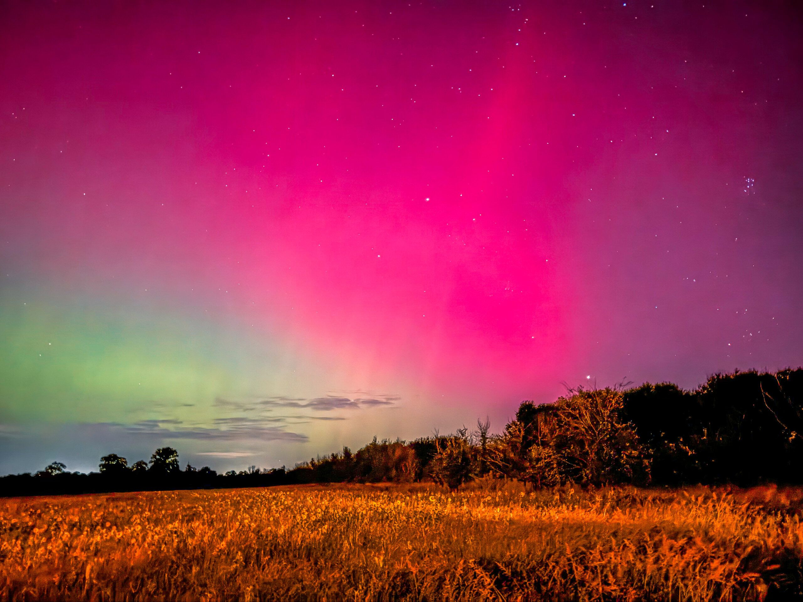 Northern Lights captured with iPhone, showing vibrant green and pink hues