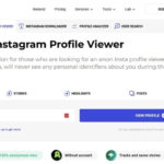 Inflact Instagram Viewer Interface