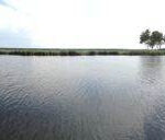 Stunning landscape captured with iPhone panorama