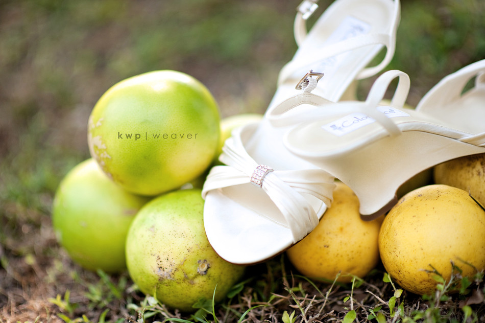 What Makes A Lil Taste Of The South Photos So Appealing?