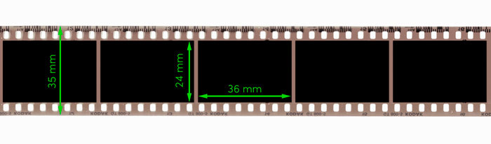 35mm film strip showing exposed frames and sprocket holes