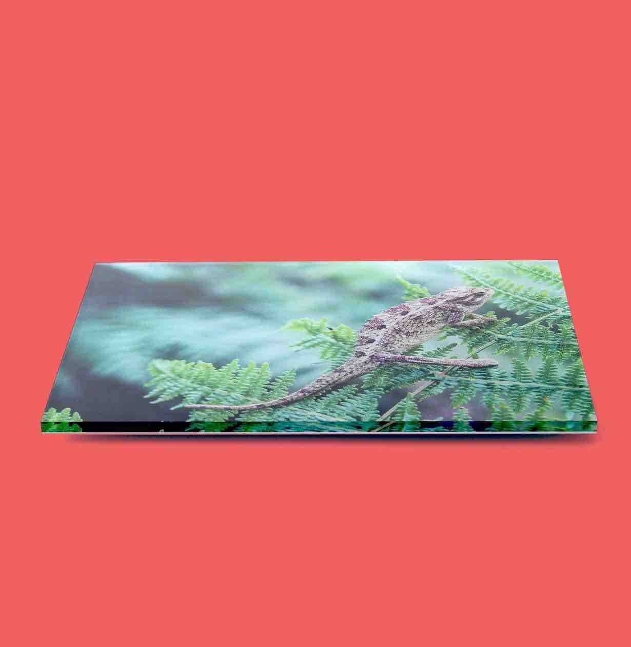 Photo printed on acrylic for Posterjack