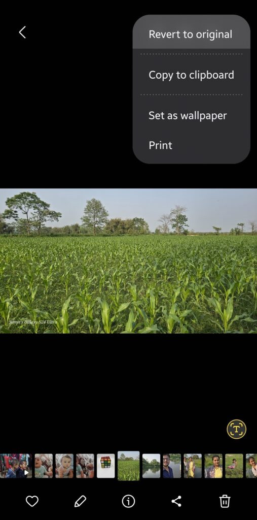 Screenshot of Remove watermark 2 in Samsung Gallery App indicating More button and Revert to original option