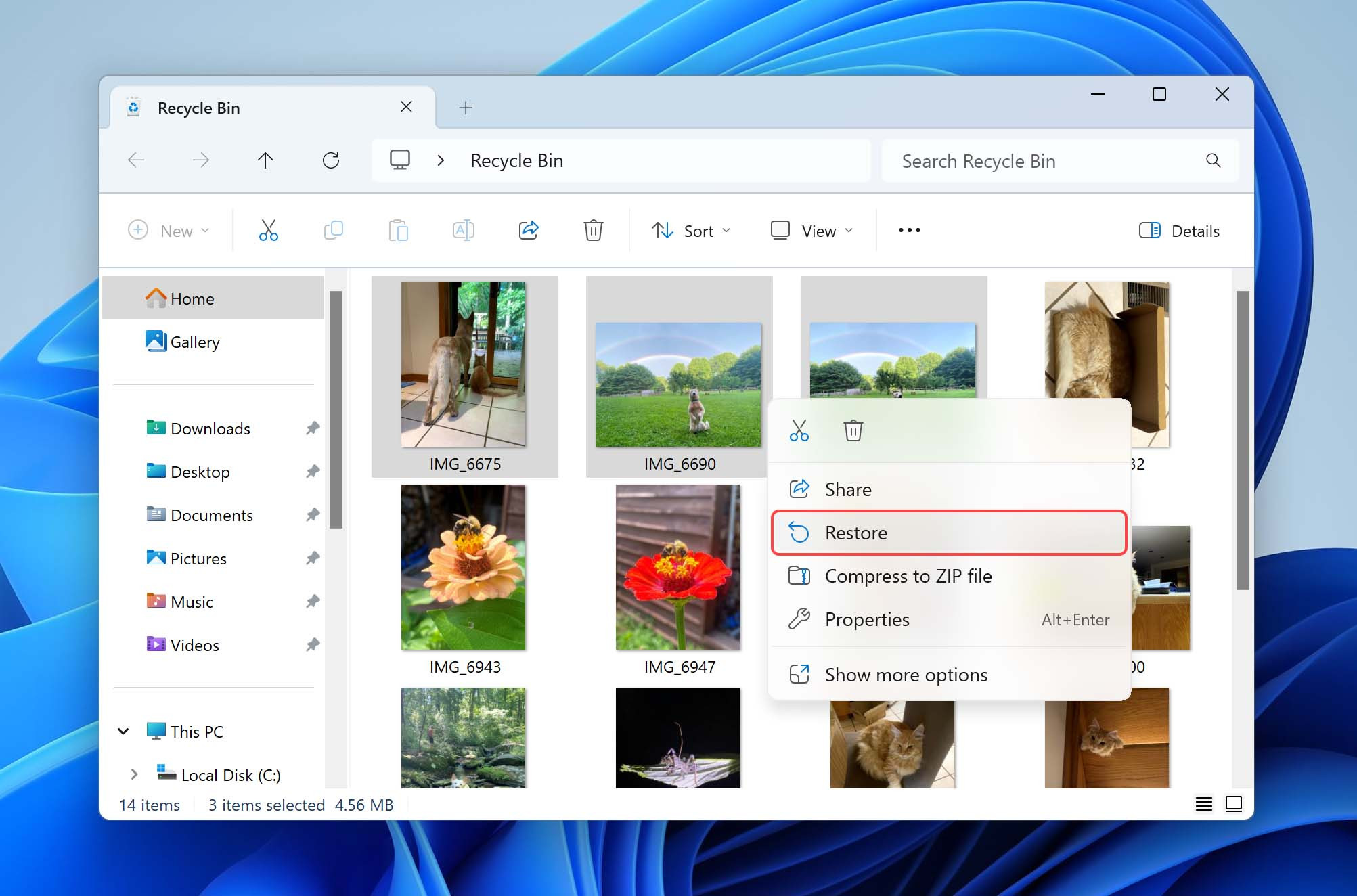 Restore photos from recycle bin Windows showing a window with files ready to be recovered