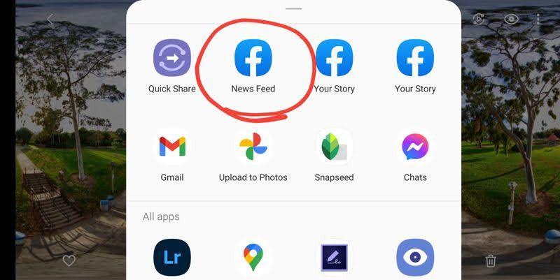 Tap on Share then select News Feed (even if you want to share it somewhere else)