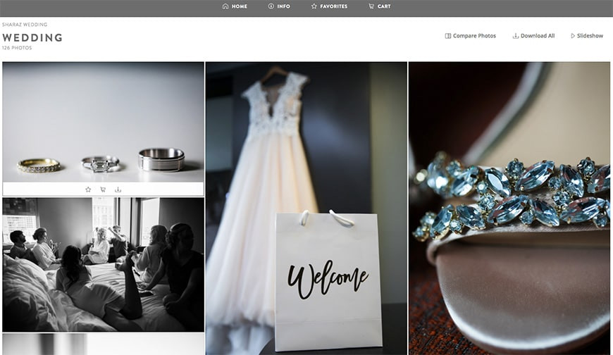ShootProof gallery interface for sharing photos with clients