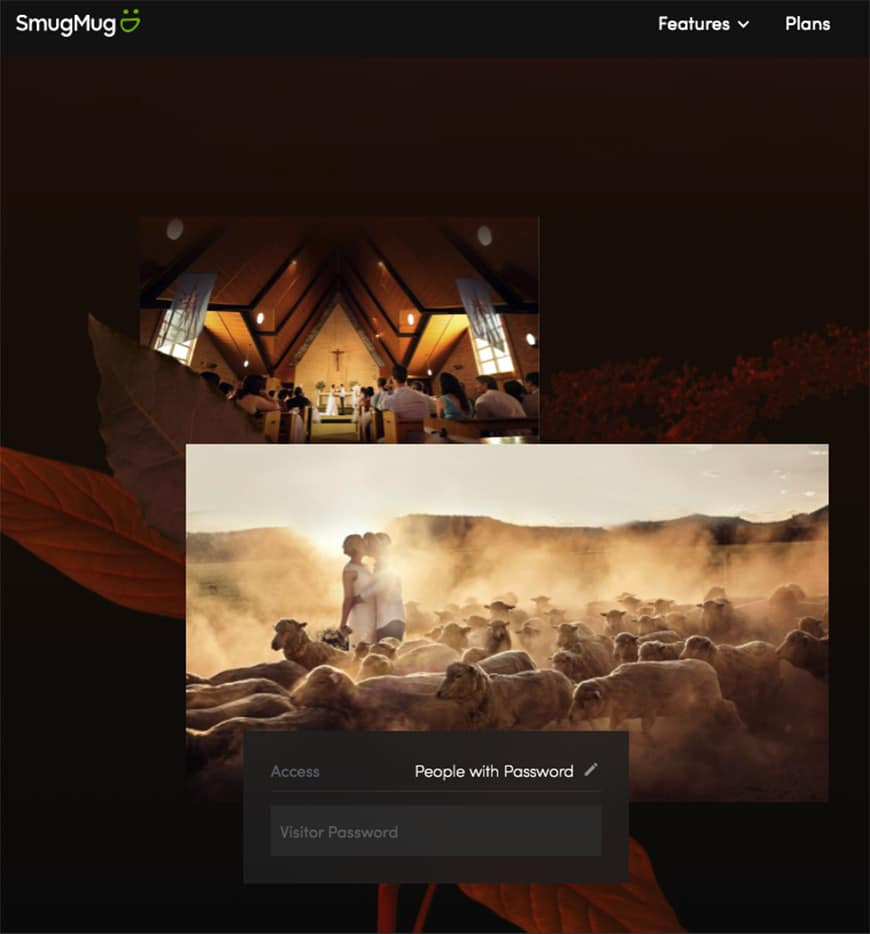 Smugmug screenshot of interface
