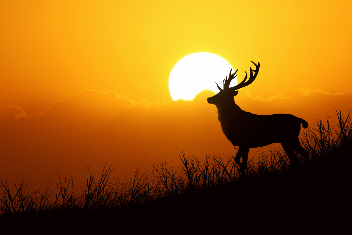 Landscape photography inspiration
