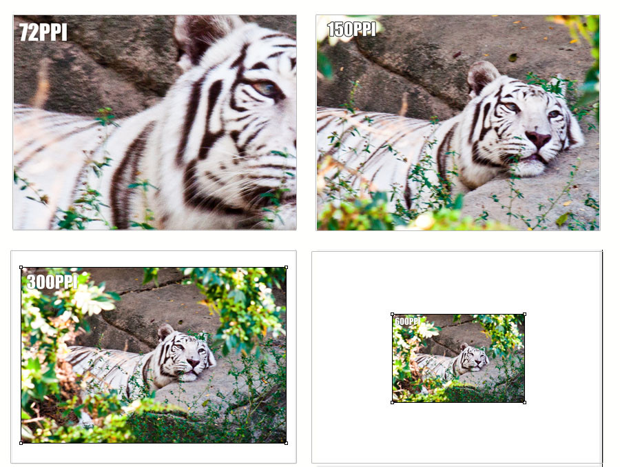 Print quality comparison at different resolutions