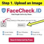Exploring a niche search engine for facial recognition, an important tip to find someone through a photo.