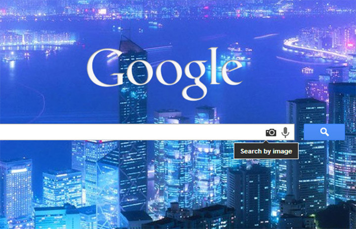 Google Reverse Image Search Input Screenshot