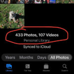 Disable Photos in Shared with You settings to stop automatic saving of shared photos from appearing in your photo library