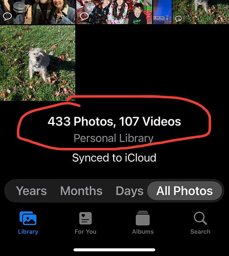 Disable Photos in Shared with You settings to stop automatic saving of shared photos from appearing in your photo library