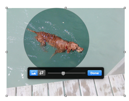 Click the Image tab on the right, and grab the image icon below File Info, and drag to your Desktop
