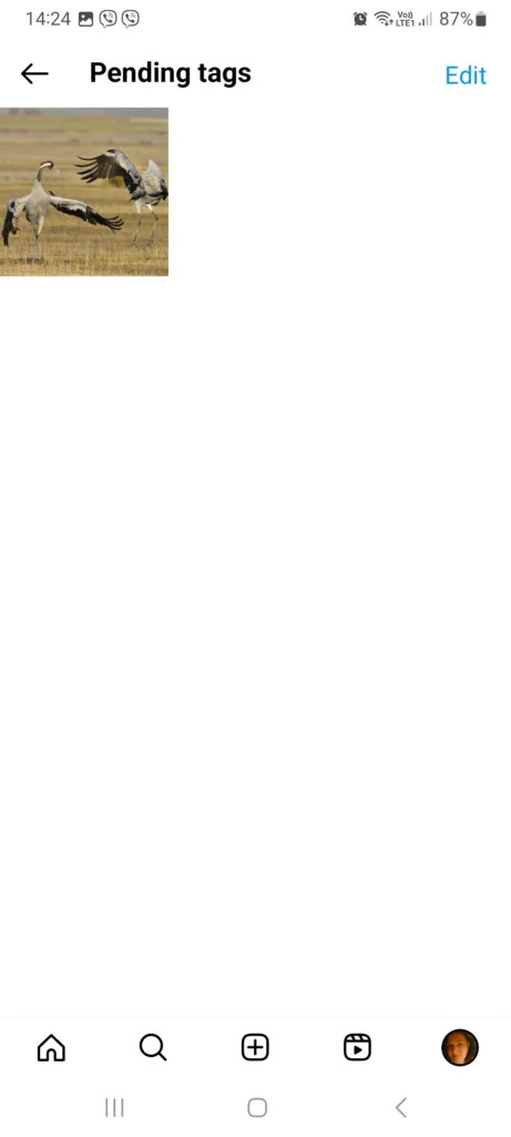 pending tags section on Instagram