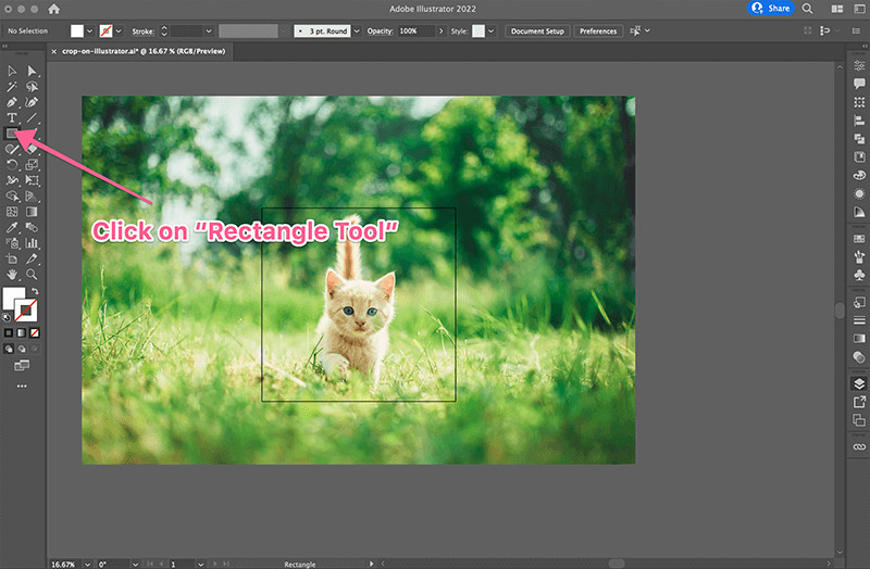 Rectangle shape for Opacity Mask