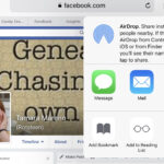 Navigating Facebook's photo albums with ease for a seamless visual experience